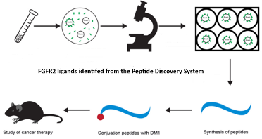 PDC Platform