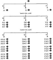 OBOC Technology 1