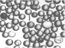 Cell Binding Assays