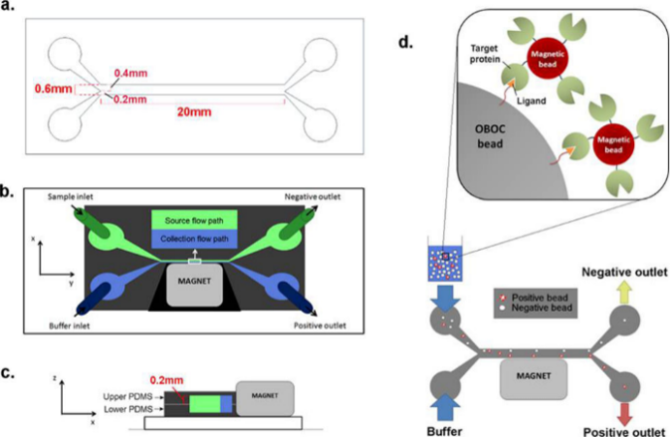 Microfluidics Magnetics