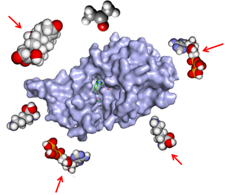 OBOC Peptide Discovery Platform