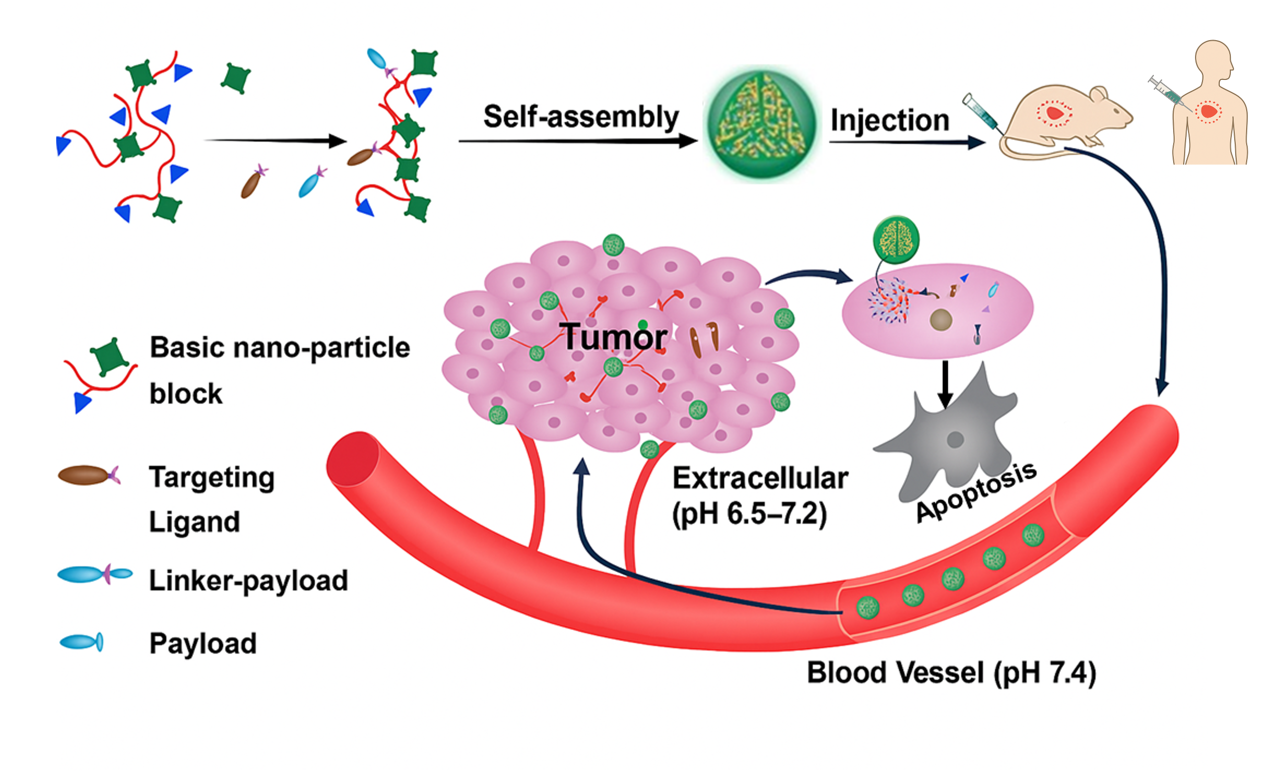 Nano Delivery Platform